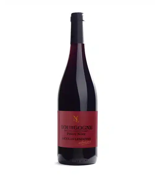vin bourgogne pinot noir