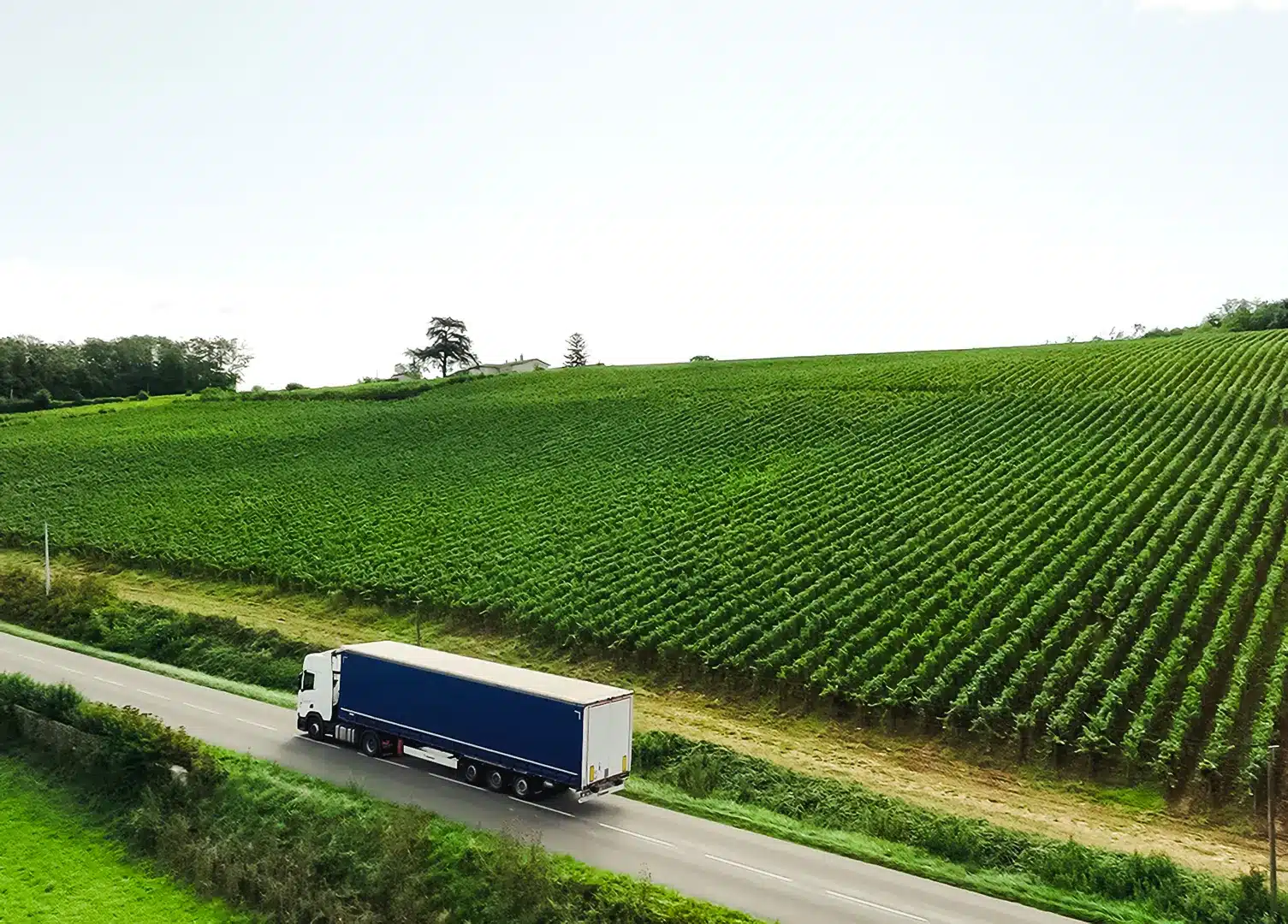 commerce du vin à l'export