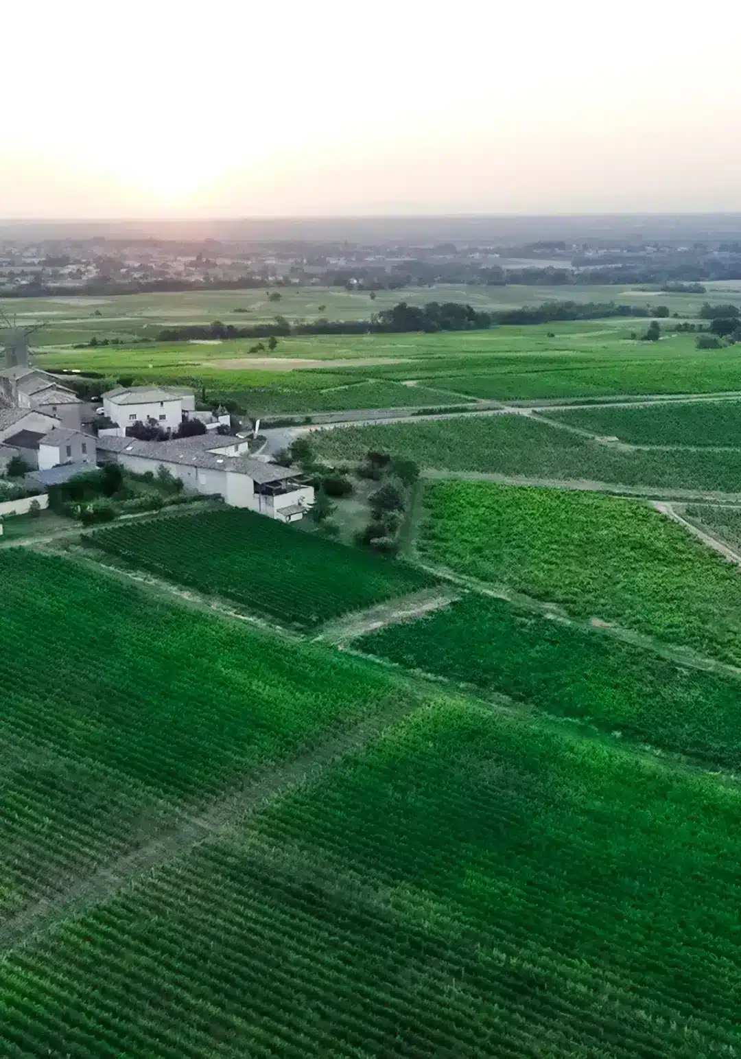 vente de vin à l'export