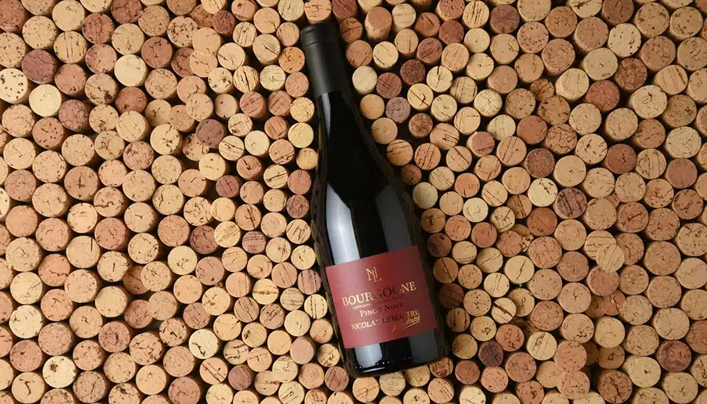 pinot noir NL