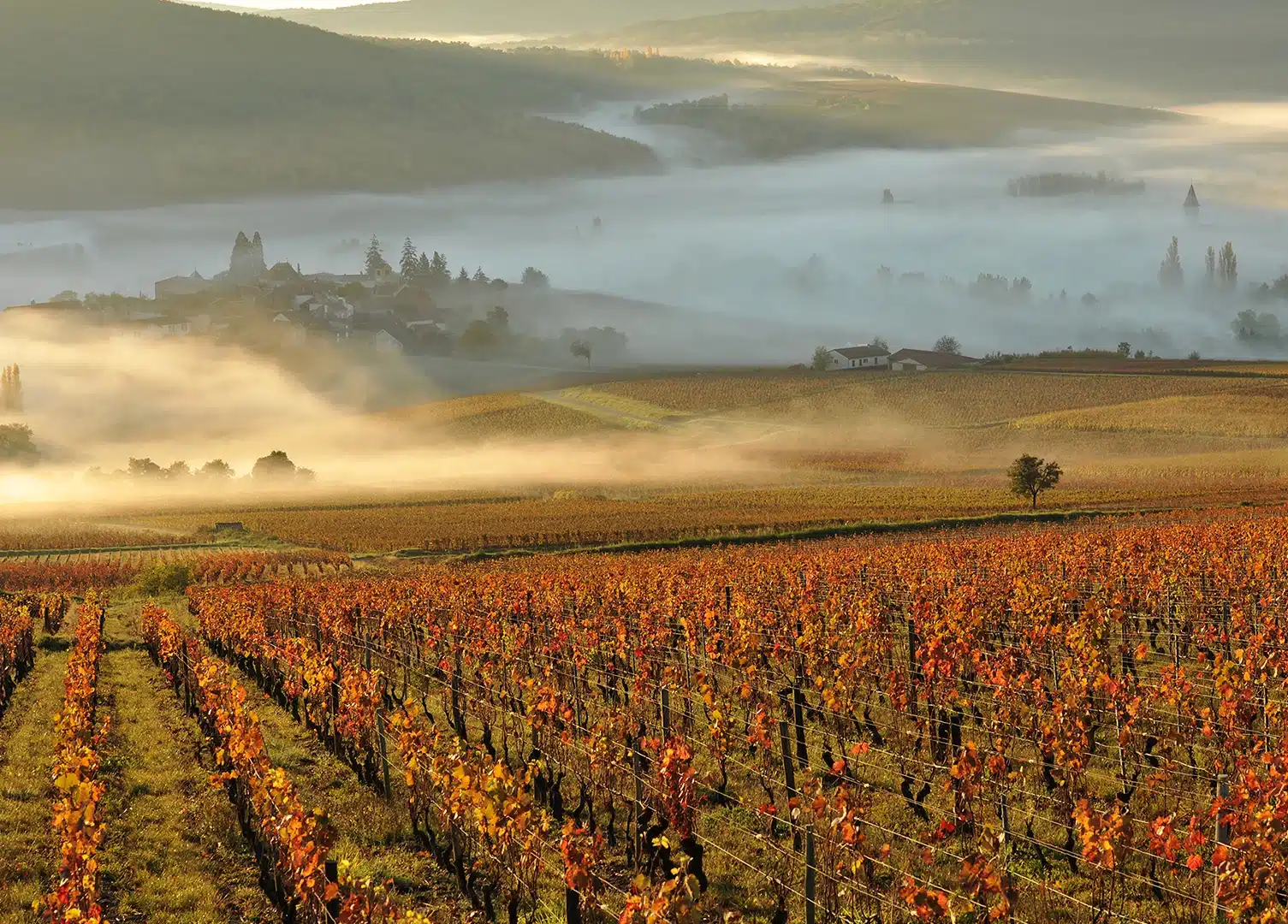 domaine de rochebin
