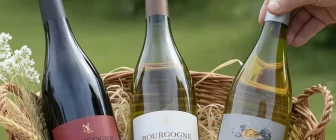 Vins de Bourgogne